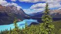 Alberta banff national park canada mount wallpaper