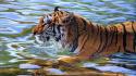 Animals artwork tigers water wallpaper