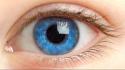 Blue eyes macro wallpaper
