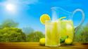 Juice lemonade lemons straws wallpaper