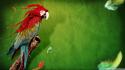 Birds feathers green background parrots wallpaper