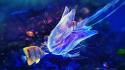 Adam spizak artwork blue fish jellyfish wallpaper