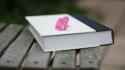 Bench books pink flowers wallpaper
