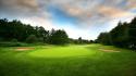 Golf course grass green trees wallpaper