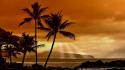 Hawaii palm trees sunset wallpaper