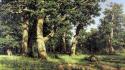 Ivan shishkin landscapes nature oak paintings wallpaper