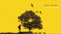 Jack johnson digital art music trees yellow wallpaper