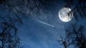 Moon branches comet nature night wallpaper