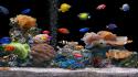 Screen savers aquarium fish plants wallpaper