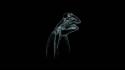 Frog sesame street xray abstract black background wallpaper
