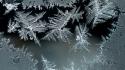 Frost glass ice crystals wallpaper