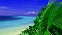Beaches blue coast landscapes palm trees wallpaper