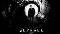 Daniel craig james bond secret agent skyfall wallpaper