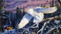 Forests owls paintings snow snowy owl wallpaper