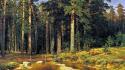 Ivan shishkin forests nature paintings trees wallpaper