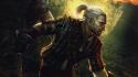 The witcher 2 assassins kings white wolf wallpaper