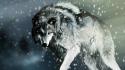 Animals artwork mammals snow wolves wallpaper