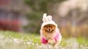 Cosplay animals dogs pets wallpaper