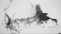 Crows white background wallpaper