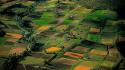 Green landscapes earth fields farmland wallpaper