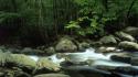Little tennessee national park great smoky mountains wallpaper