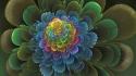 Multicolor flowers fractals digital art fantasia wallpaper