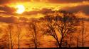 Sunset sun trees skyscapes virginia wallpaper