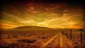 Birds country road skyscapes wallpaper