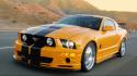 Ford mustang automobiles cars engines luxury sport wallpaper