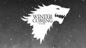 House stark winter is coming crest direwolf wallpaper