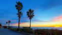 California beaches palm trees wallpaper
