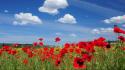 Clouds flowers grass landscapes poppies wallpaper