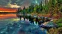 Forests sunset water wallpaper