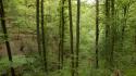 Asturias spain forests green nature wallpaper