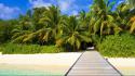 Beaches exotic nature palm trees summer wallpaper
