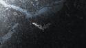 Batman chalk the dark knight rises wallpaper