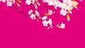 Cherry blossoms flowers pink vector wallpaper