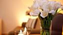 Couch flowers tulips candles wallpaper