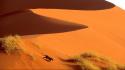 Desert crossing namibia sand dunes africa leopards wallpaper