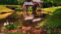 Nature forest grass ducks mill lakes geese waterwheel wallpaper