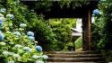 Nature trees architecture garden stairways blue flowers hydrangeas wallpaper