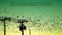 Birds quotes silhouette power lines wallpaper