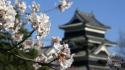 Flowers spring (season) asian architecture blurred background wallpaper