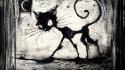 Black cat wallpaper