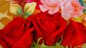 Flowers painted roses red wallpaper