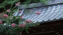 Japan flowers spring (season) asian architecture roofs wallpaper