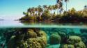 Water ocean landscapes beach coral palm trees bora wallpaper