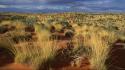 Desert grass little sandy australia wallpaper