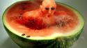 Fruits watermelons swimming pictorial food art wallpaper