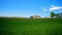 Green blue landscapes grass serene vineyard farm peaceful wallpaper